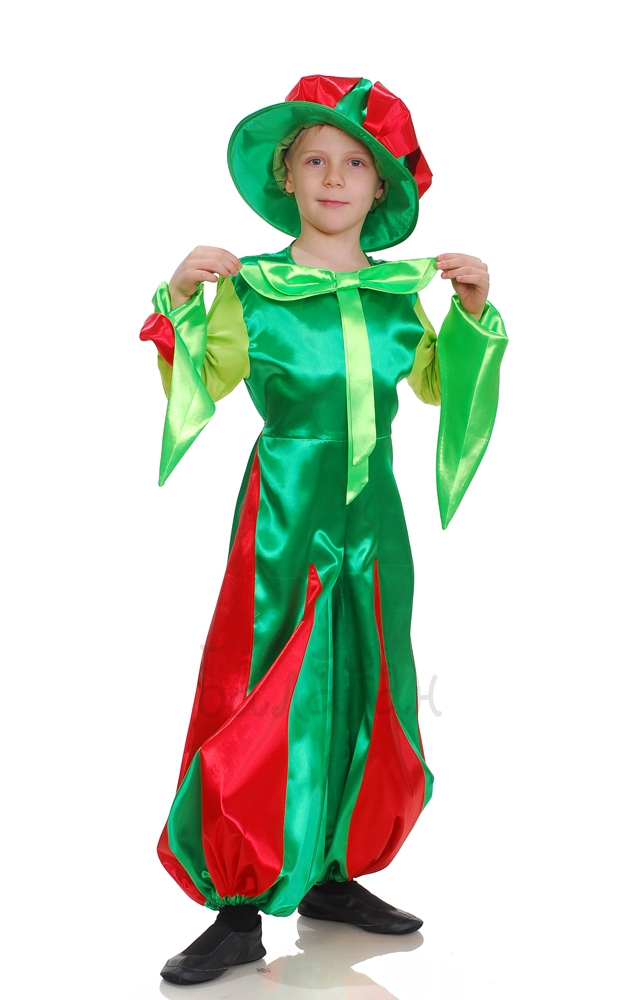 Tulip flower collection costume for little boy