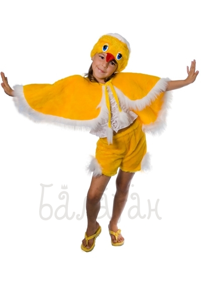 Chick birds collection costume for a little boy