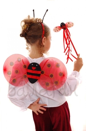 Ladybug wings red and black Accessories