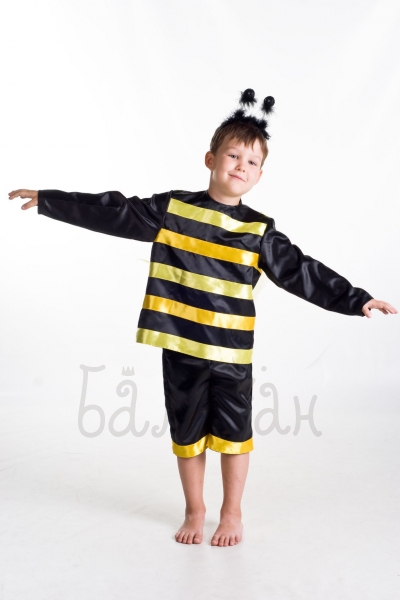 Bumblebee insect collection costume for a little boy 