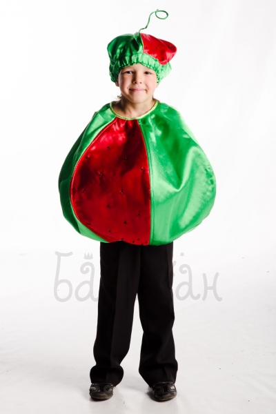 Watermelon vegetable collection costume for a little boy 
