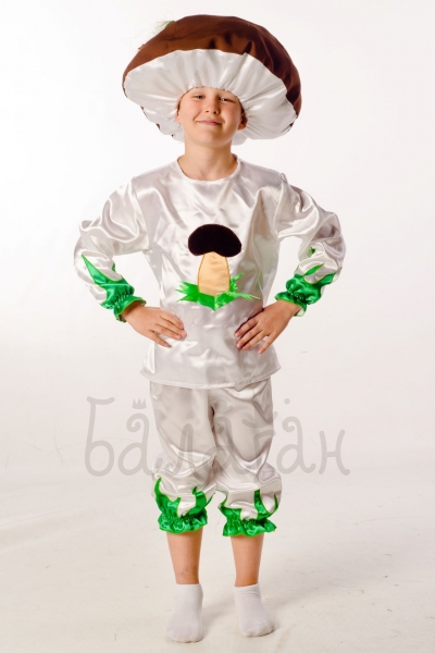 Mushroom boletus costume for a little boy