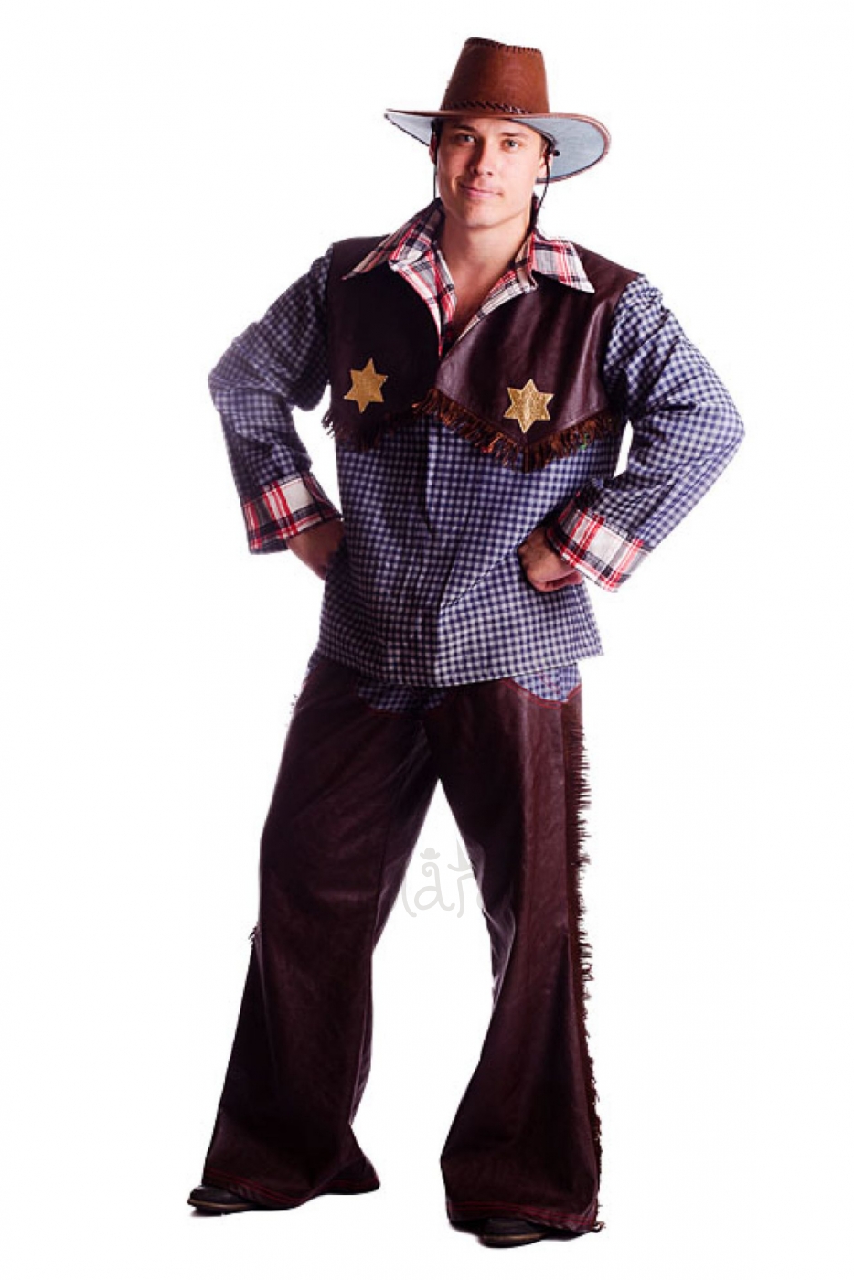 Cowboy Johnny costume for man