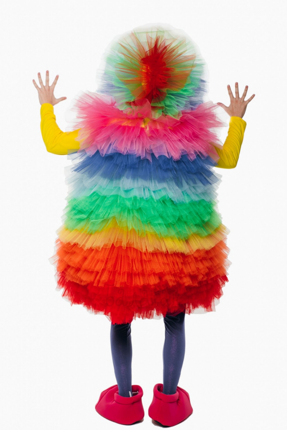 Costume Fieca multi-colored